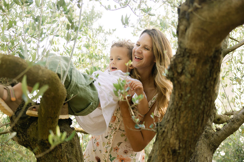 The Story Beneath the Olive Tree
